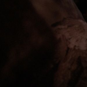 Meet your Posher, Jeff